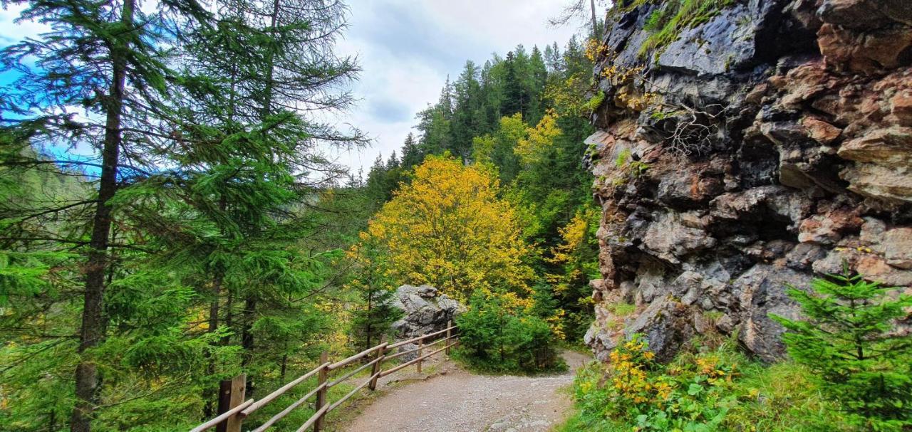 Drevenica Borovianka Villa Velke Borove Buitenkant foto
