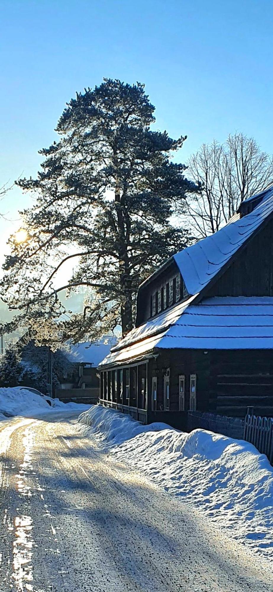 Drevenica Borovianka Villa Velke Borove Buitenkant foto